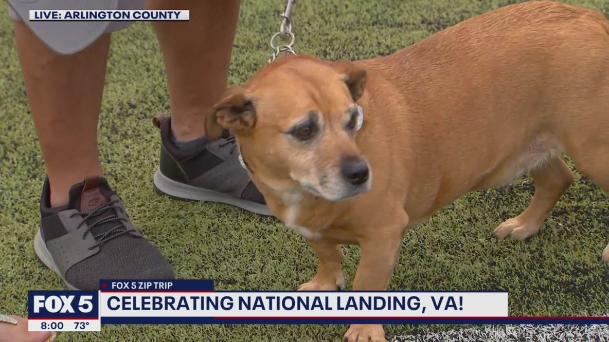 FOX 5 Zip Trip National Landing: Furry friends!